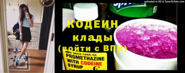 трава Лабытнанги