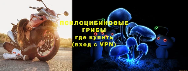 трава Лабытнанги
