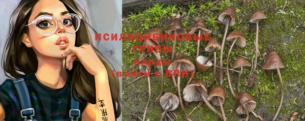 трава Лабытнанги