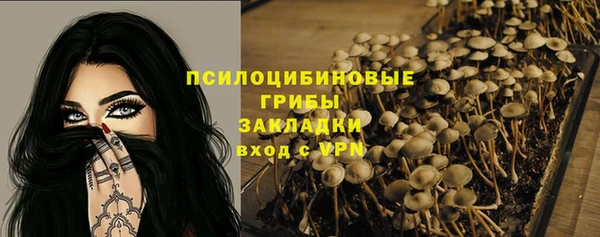 трава Лабытнанги