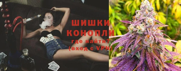 трава Лабытнанги