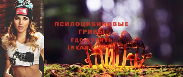 a pvp Ладушкин