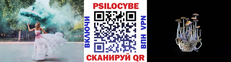 купить наркотик  Нижний Тагил  omg зеркало  Псилоцибиновые грибы прущие грибы 